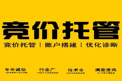 成功案例：SEM竞价代运营助力企业实现业绩翻倍